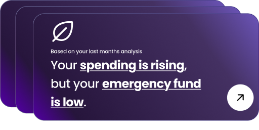 Personalized Financial Advice - Tailored AI recommendations for saving money and building wealth